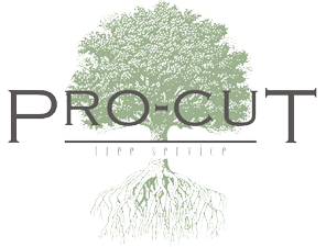 pro-cut-logo